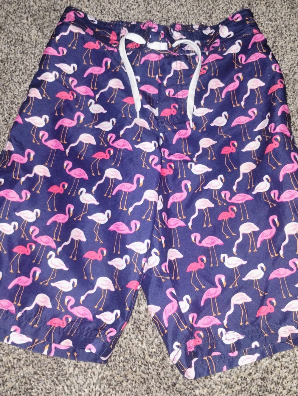 Janie and Jack 🦩flamingo swim trunks size 12